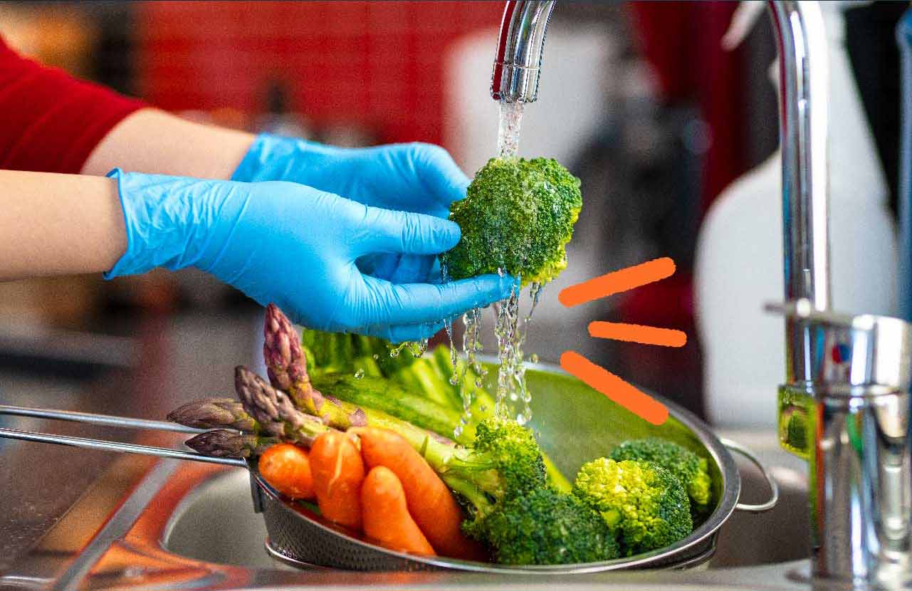 HIGIENE Y MANIPULACION DE ALIMENTOS